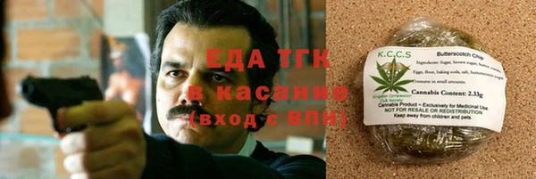 амф Дмитриев