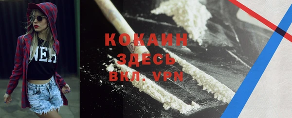 PSILOCYBIN Дмитров