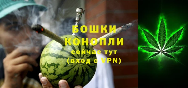 PSILOCYBIN Дмитров