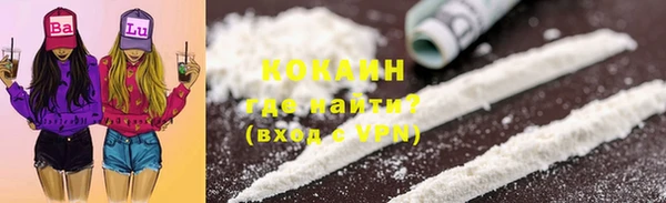амф Дмитриев