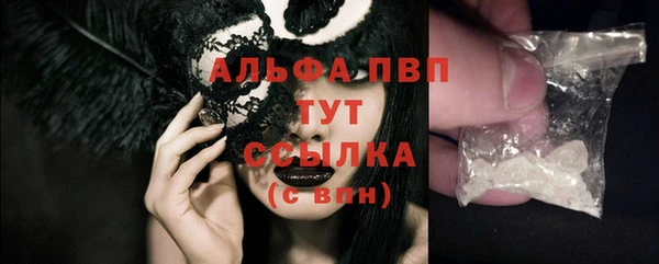амф Дмитриев