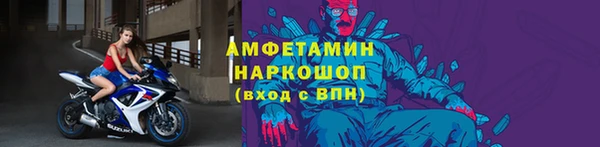 амф Дмитриев