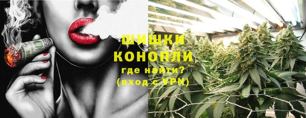 PSILOCYBIN Дмитров
