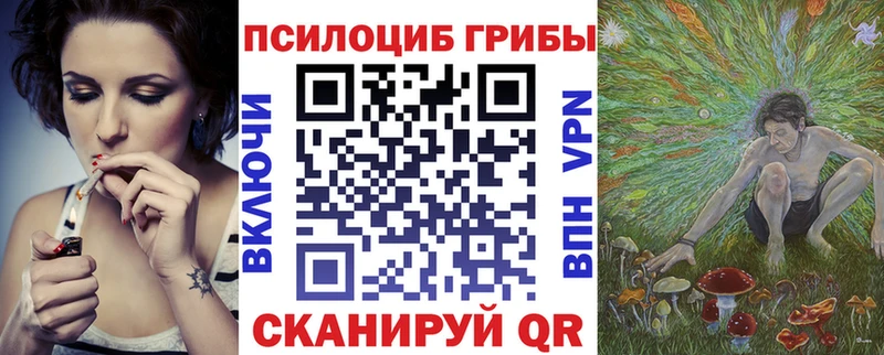 купить  цена  Карабаново  Галлюциногенные грибы Psilocybine cubensis 